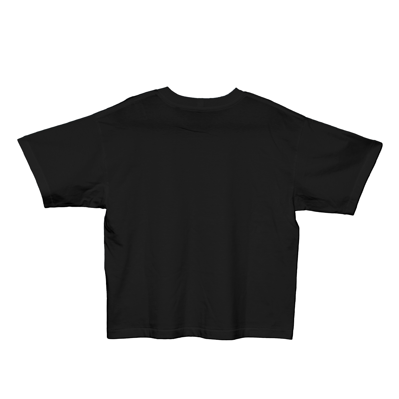 Camiseta - BC.LOGO.BOX2